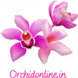 Orchidonline